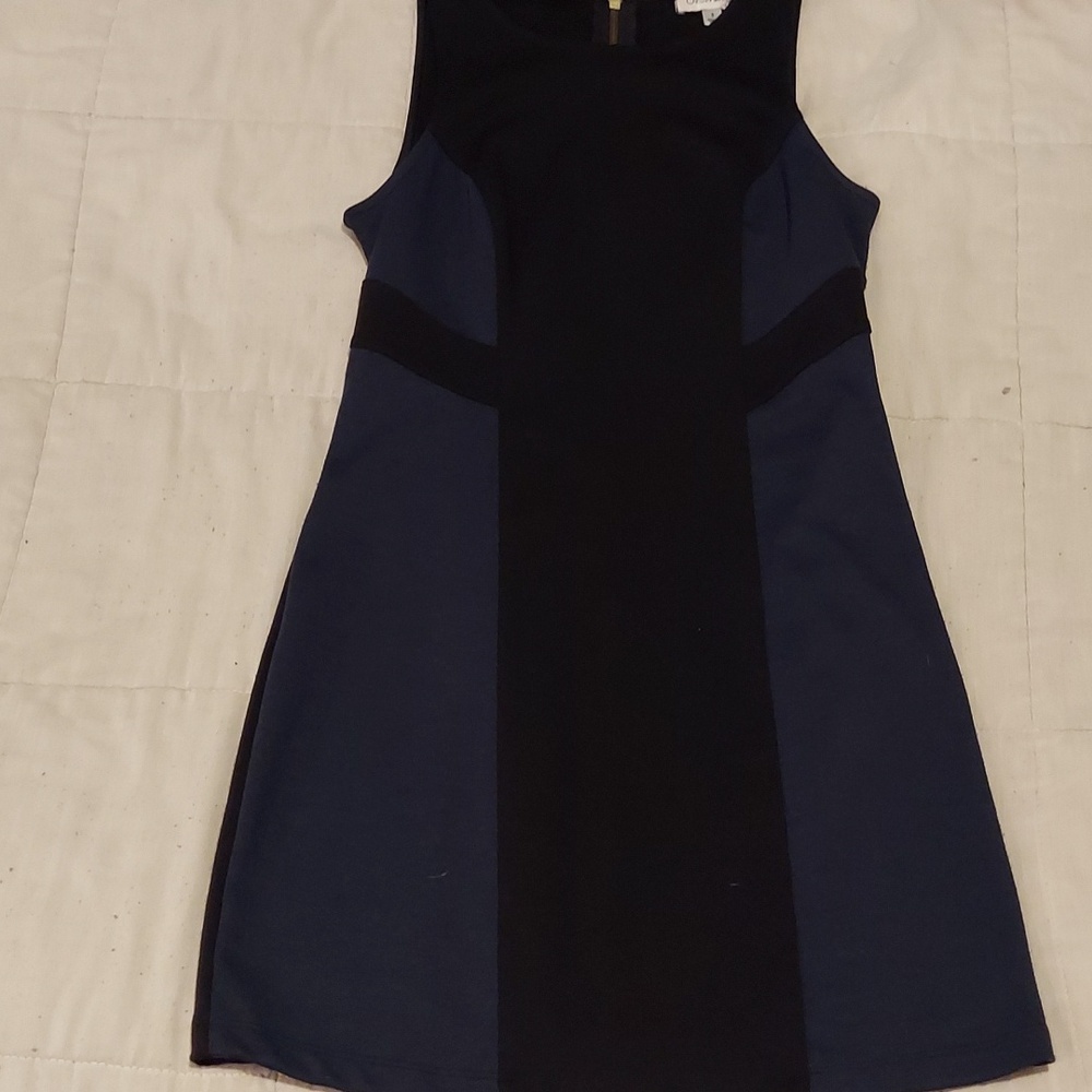 Sleeveless Bodycon Dress